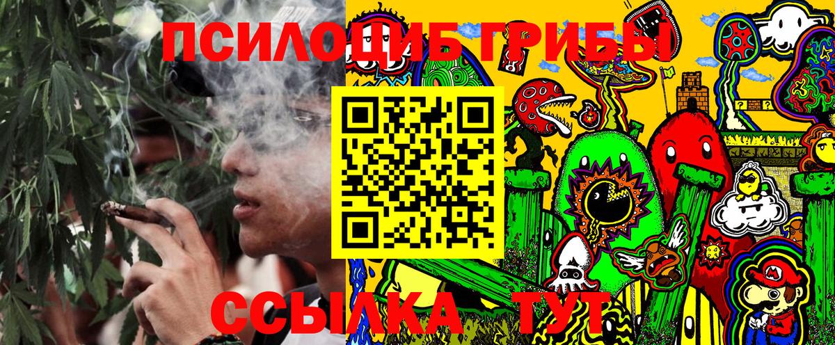 Галлюциногенные грибы Psilocybine cubensis  Вход с VPN  Магнитогорск 